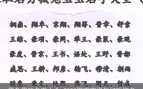 属兔男孩名字大全 2024男宝宝洋气好听取名