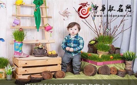 家长福利20l7姓熊女孩名字大全