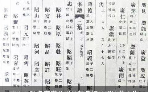 薛姓女孩名字满分周易起名打分测试薛文汐