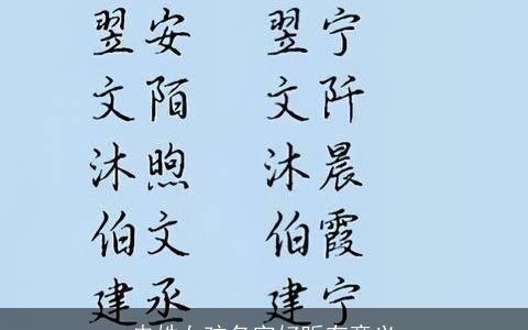 冉姓女孩名字好听有意义