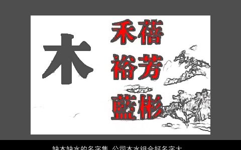 缺木缺水的名字集 公司木水组合好名字大全 温柔文静诗意的五行缺木的公司名字大全