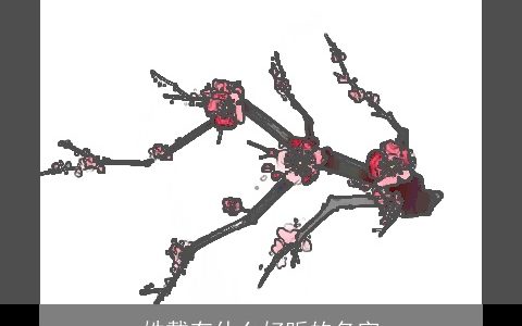 姓戴有什么好听的名字