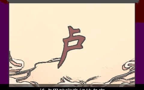 姓卢男孩寓意好的名字