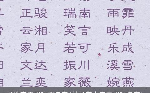 杨姓带正男孩双名字(姓杨带火字旁男孩名字)