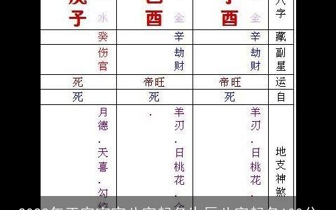 2023年正宗宝宝八字起名生辰八字起名100分