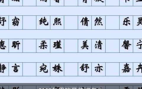 2024年男孩最佳取名少