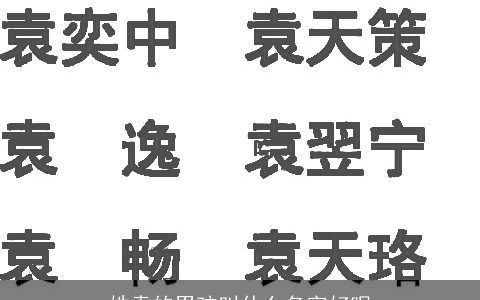 姓袁的男孩叫什么名字好呢