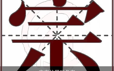 宗字的男孩名字