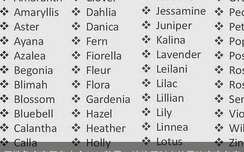 何姓兔宝宝取名大全2023款男  惊艳了时光的男孩宝宝名字