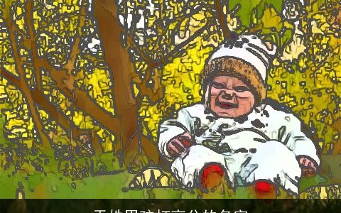 于姓男孩打高分的名字