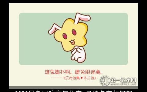 2024属兔男孩豪气的字 最佳名字如何起