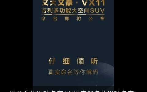 皓开头的男孩名字(以皓字起名的男孩名字)