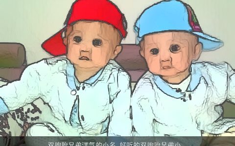 双胞胎兄弟洋气的小名 好听的双胞胎兄弟小名大全 洋气好听的双胞胎小名双胞胎小名名字