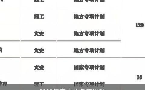 2024年带火的名字男孩