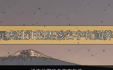 姓许的男孩名字有气质