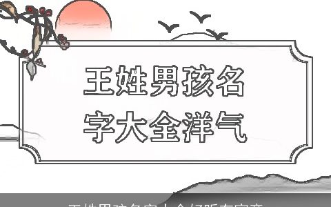 王姓男孩名字大全好听有寓意