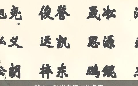 赖姓男孩出自诗词的名字