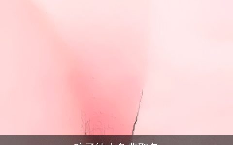 孩子缺木免费取名