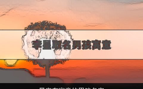 星字有寓意的男孩名字