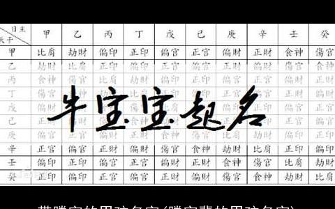 带腾字的男孩名字(腾字辈的男孩名字)