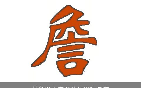 姓詹以文字开头的男孩名字