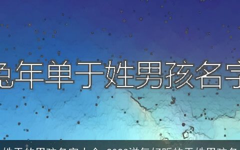 姓于的男孩名字大全 2024洋气好听的于姓男孩名