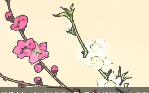 诗经中的女孩灵动名字推荐 摘抄自诗词的女生名字