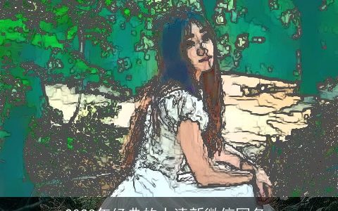 2024年经典的小清新微信网名_