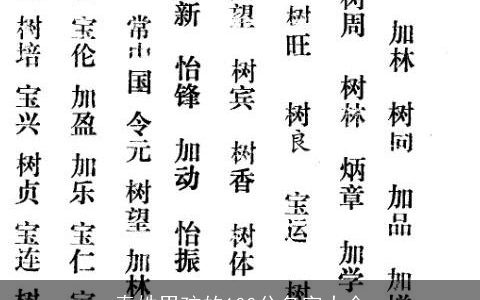 秦姓男孩的100分名字大全