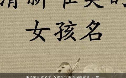 唐诗宋词取名字 女孩名字古诗词有寓意_女孩名字大全 好听寓意的唐诗宋词女孩古诗名最新