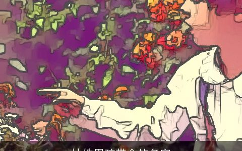 林姓男孩带金的名字