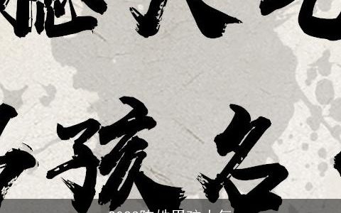 2024陈姓男孩大气