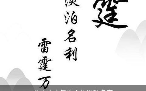 勇敢的少年姓卞的男孩名字