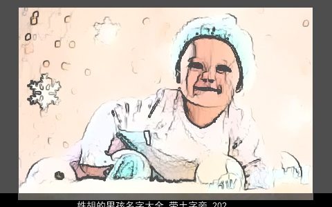 姓胡的男孩名字大全 带土字旁 2023好听吉利的胡姓五行带土的男孩名字大全