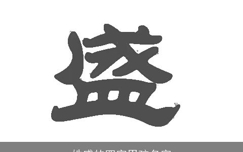 姓盛的四字男孩名字
