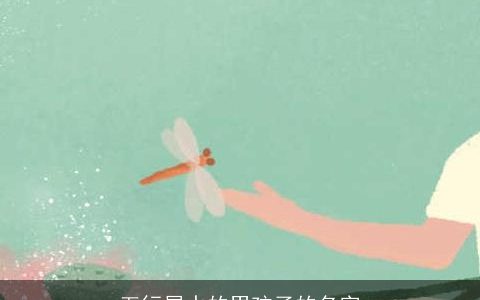 五行属水的男孩子的名字