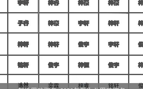 郗姓男孩取名 2023年新生儿男孩取名