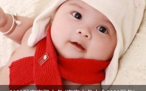 2023猴宝宝取小名(宝宝小名大全2023猴年)