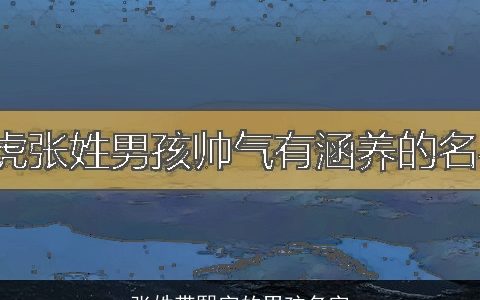 张姓带熙字的男孩名字