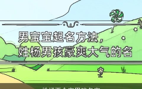 姓杨两个字男孩名字