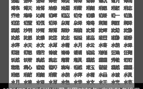 2024年5月31日出生属龙男孩起名 高分起名推荐