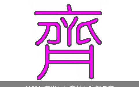 2024牛年出生的齐姓女孩起名字