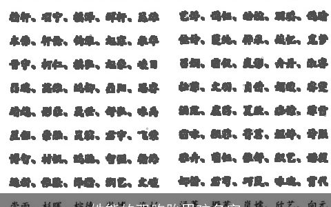 姓熊的双胞胎男孩名字