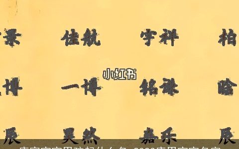 唐家宝宝男孩起什么名 2024唐男宝宝名字