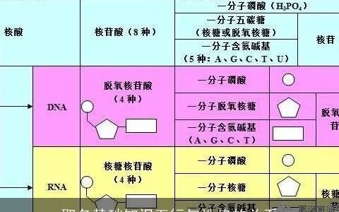 取名基础知识五行与性格的关系