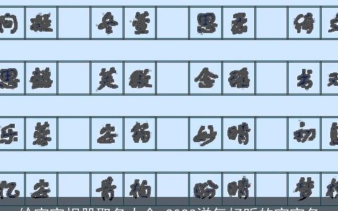 给宝宝相册取名大全 2024洋气好听的宝宝名