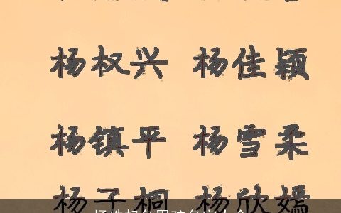 杨姓起名男孩名字大全