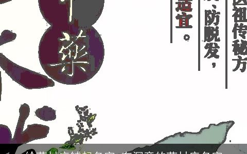 给药材店铺起名字 有深意的药材店名字