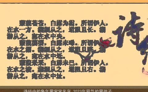 诗经中的兔年男宝宝名字 2023年霸气的男孩子名字大全分享 有涵养霸气的诗经虎男宝宝男孩名精挑