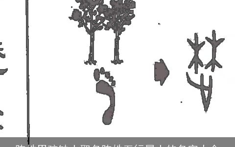 陈姓男孩缺土取名陈姓五行属土的名字大全